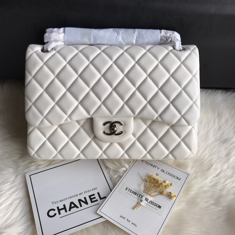 Chanel Luxury Handbag Style 244 Rovelle Bags