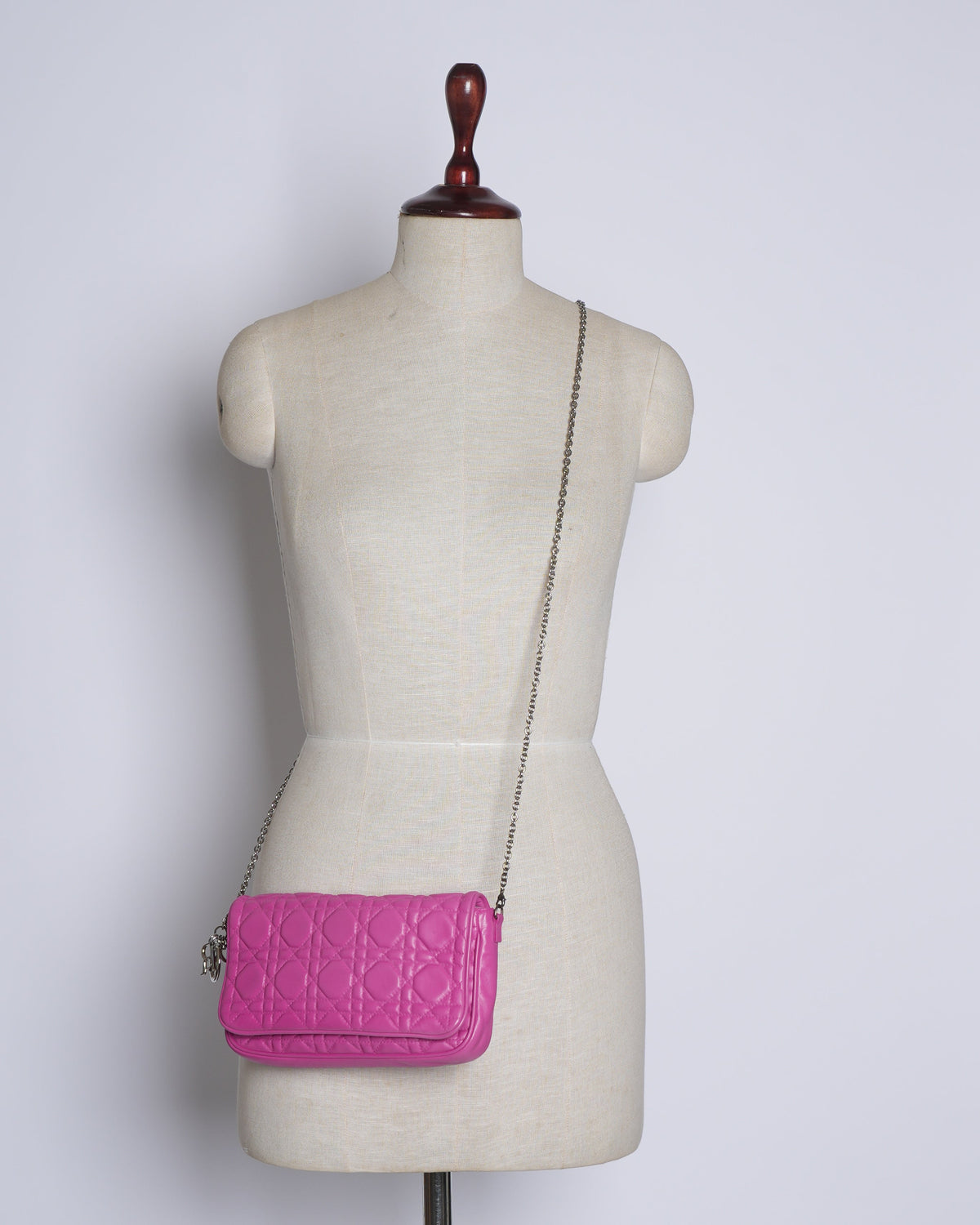 Dior Luxury Leather Crossbody Pink Rovelle Bags