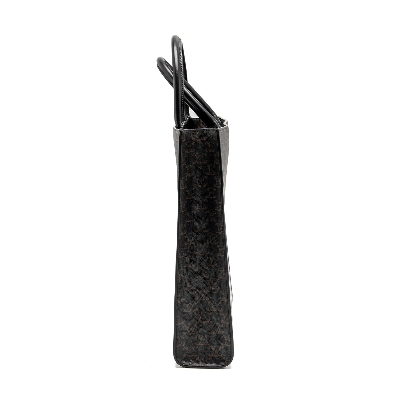 Luxury CELINE Vertical Cabas in Triomphe Canvas Black / Multicolour