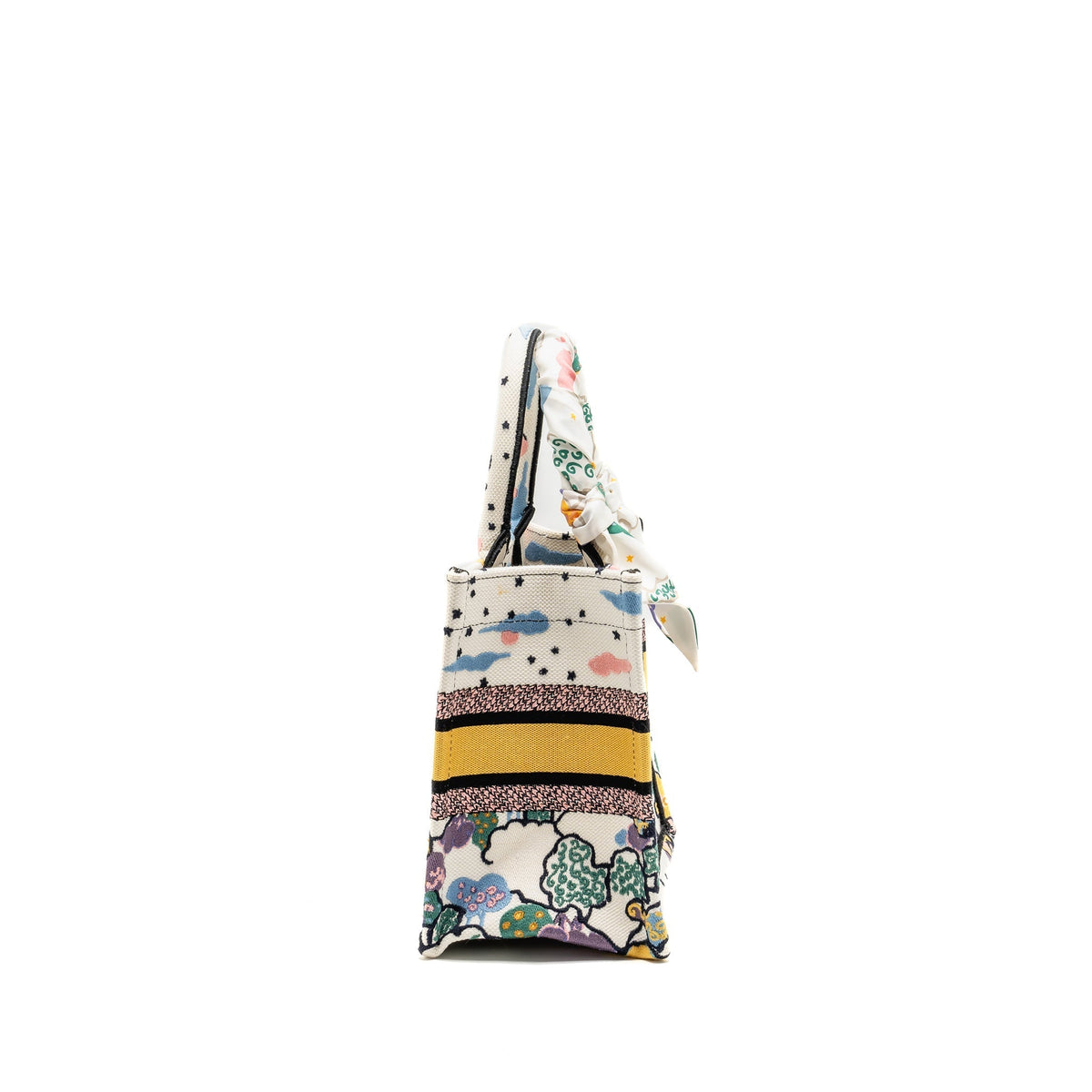Dior Small dior book tote canvas multicolor Rovelle Bags