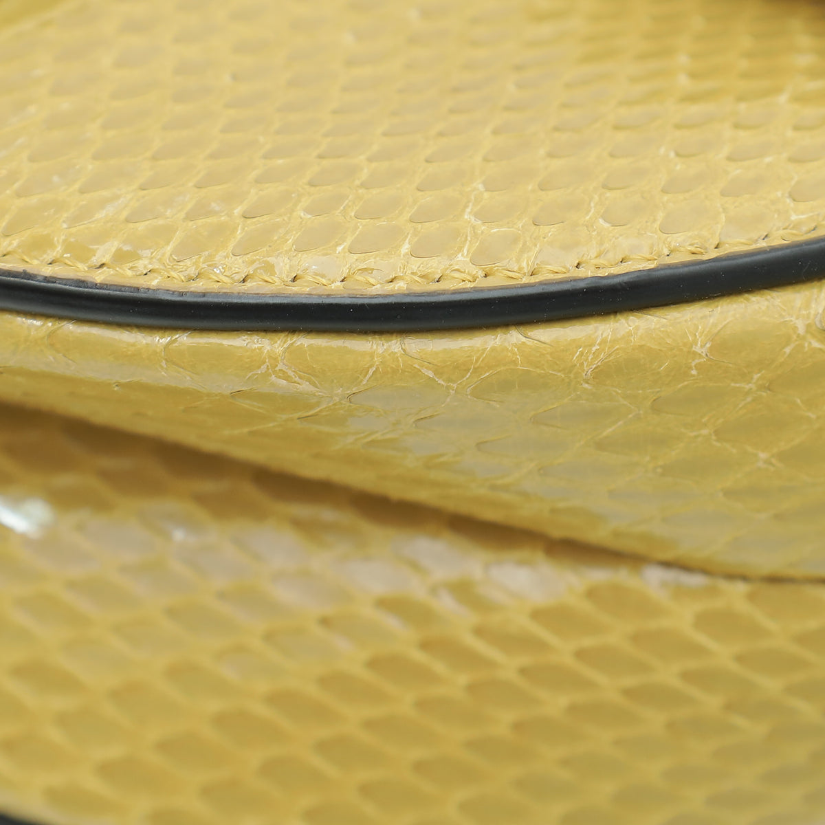 Christian Dior Dark Mustard Python Saddle Mini Bag Rovelle Bags