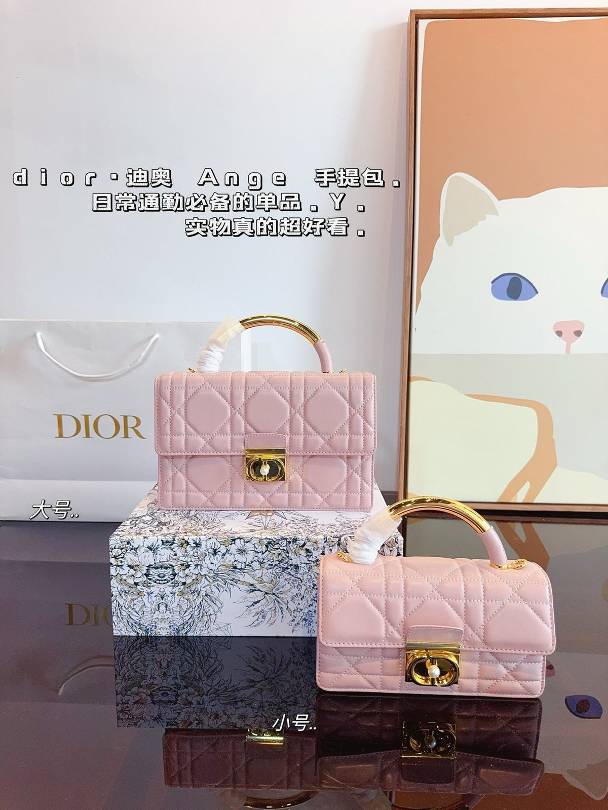 Dior Chain Leather Crossbody Bag Rovelle Bags