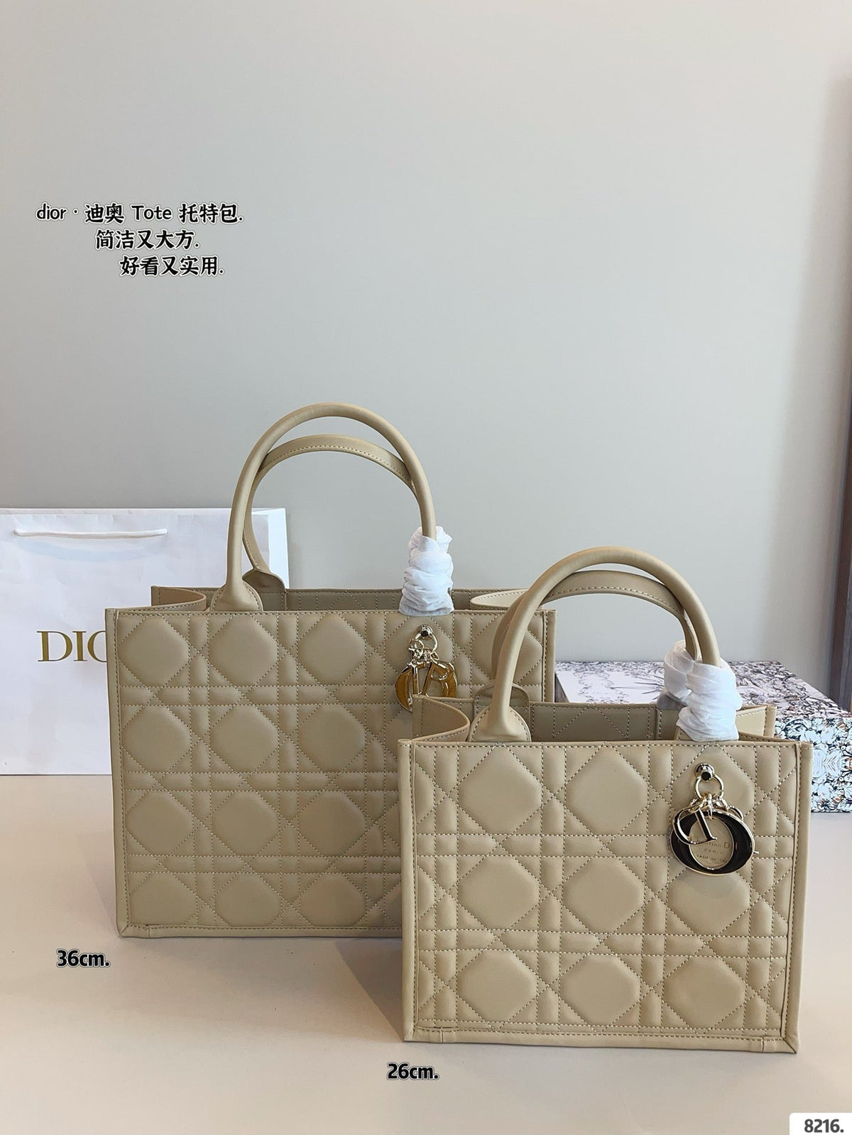 Dior Book Tote Tote Bag Rovelle Bags