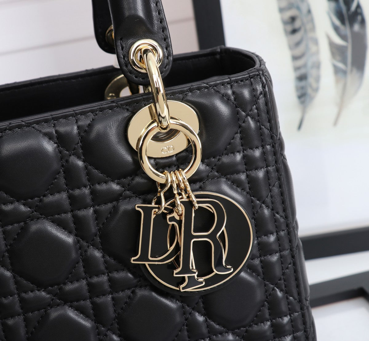 Christian Dior Medium Lady Dior Bag