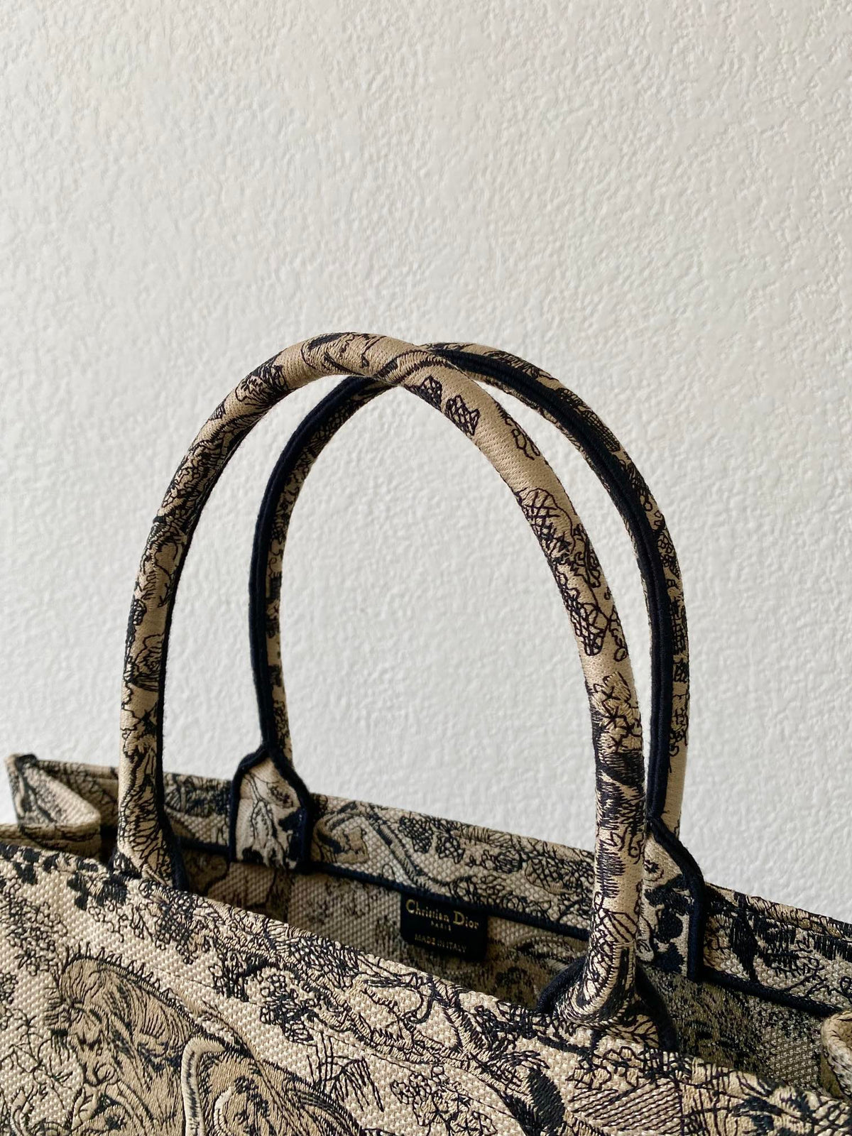 Christian Dior Book Tote Bag