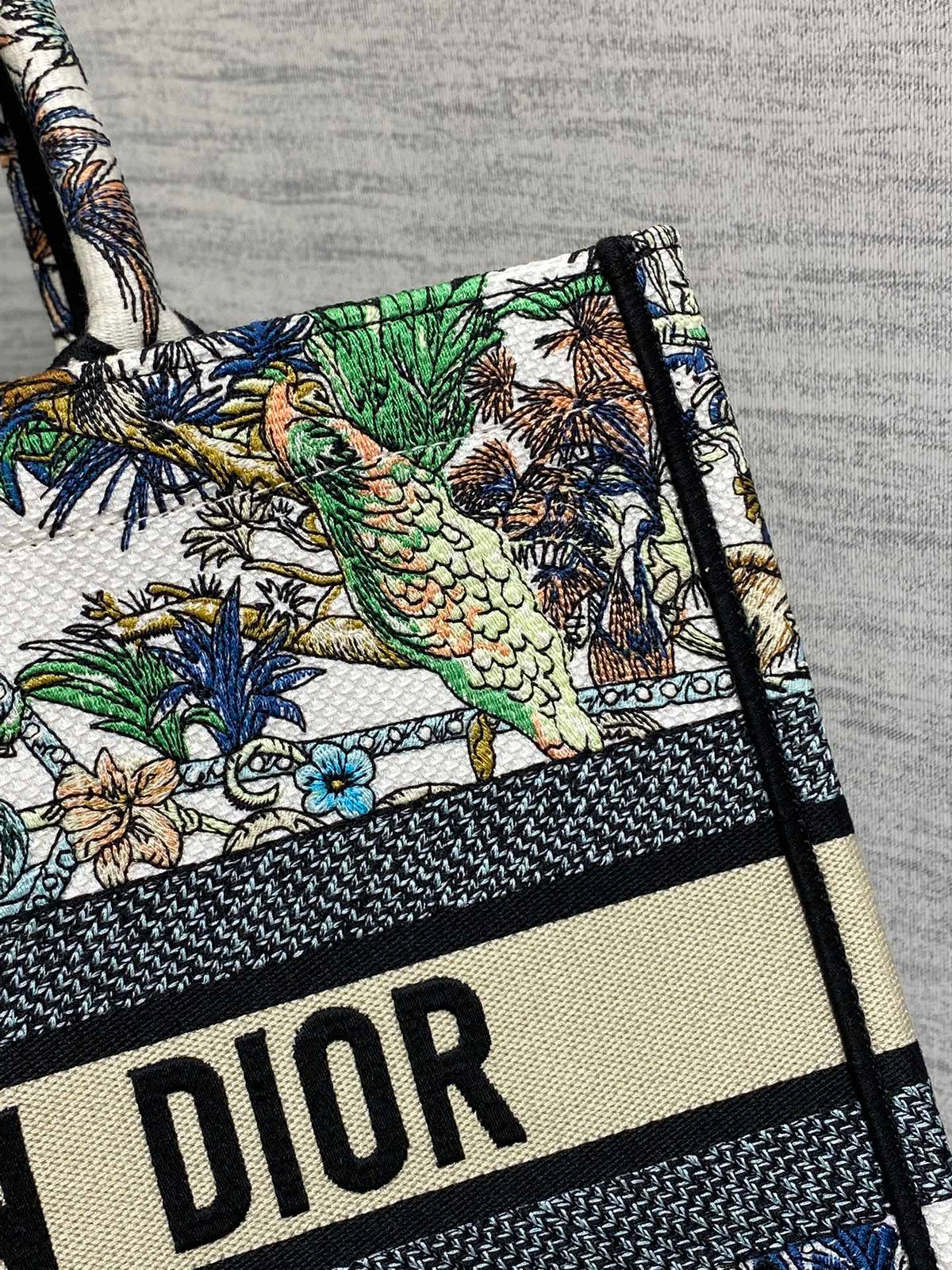Christian Dior Book Tote Bag