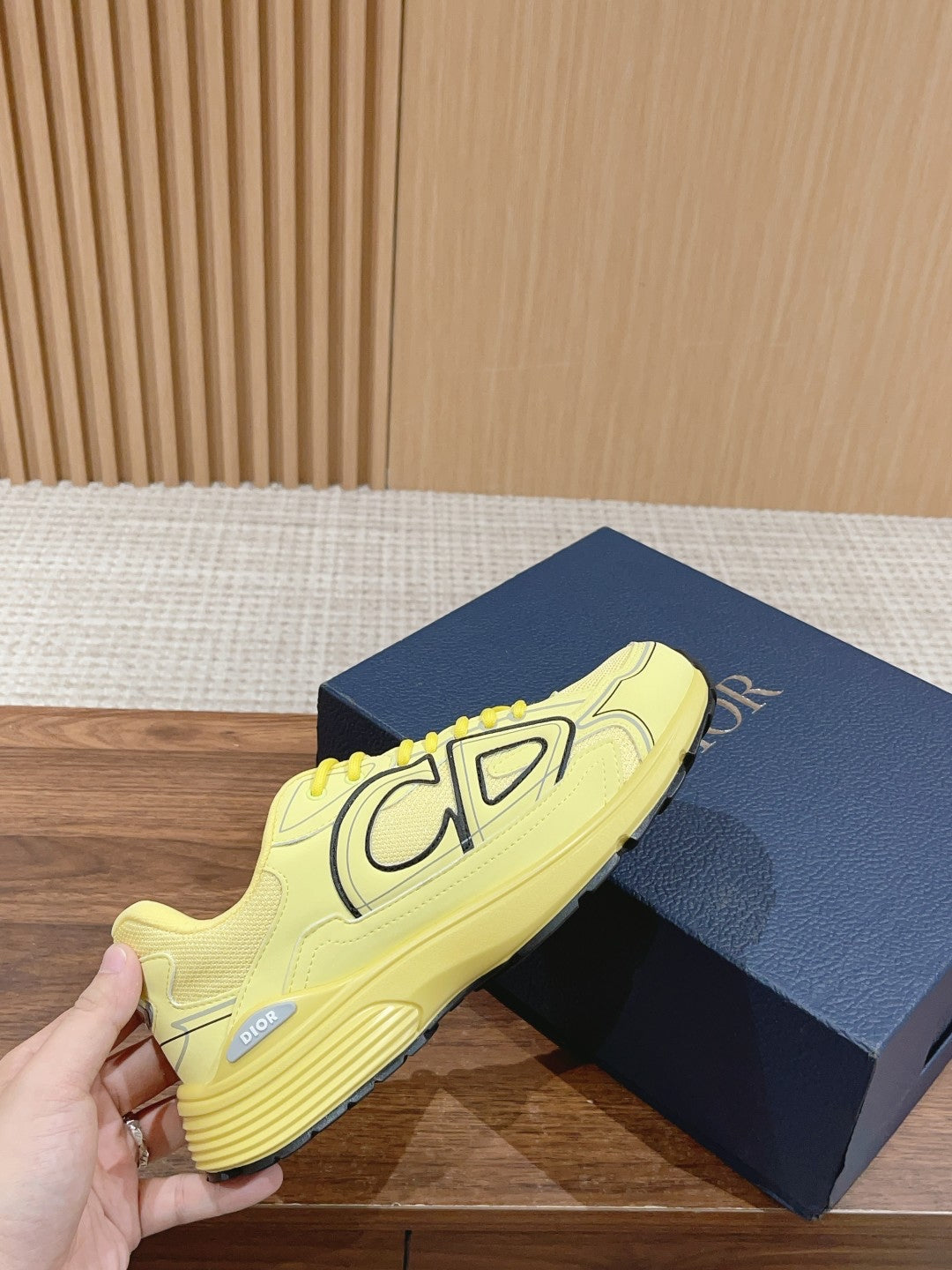 Christian Dior Men B30 Sneaker