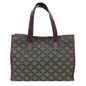 Luxury CELINE Triomphe Tote