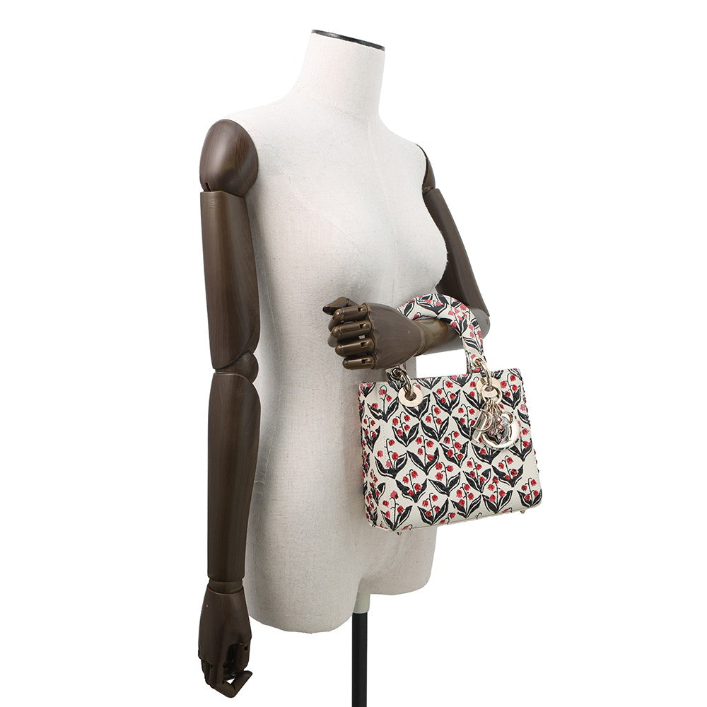 Dior Luxury Leather Handbag Style 12 Rovelle Bags