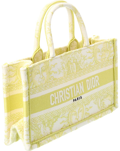 Dior Mini Canvas Book Tote Rovelle Bags