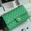 Chanel Classic Double Flap 25 Shoulder Bag Green