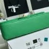 Chanel Classic Double Flap 25 Shoulder Bag Green