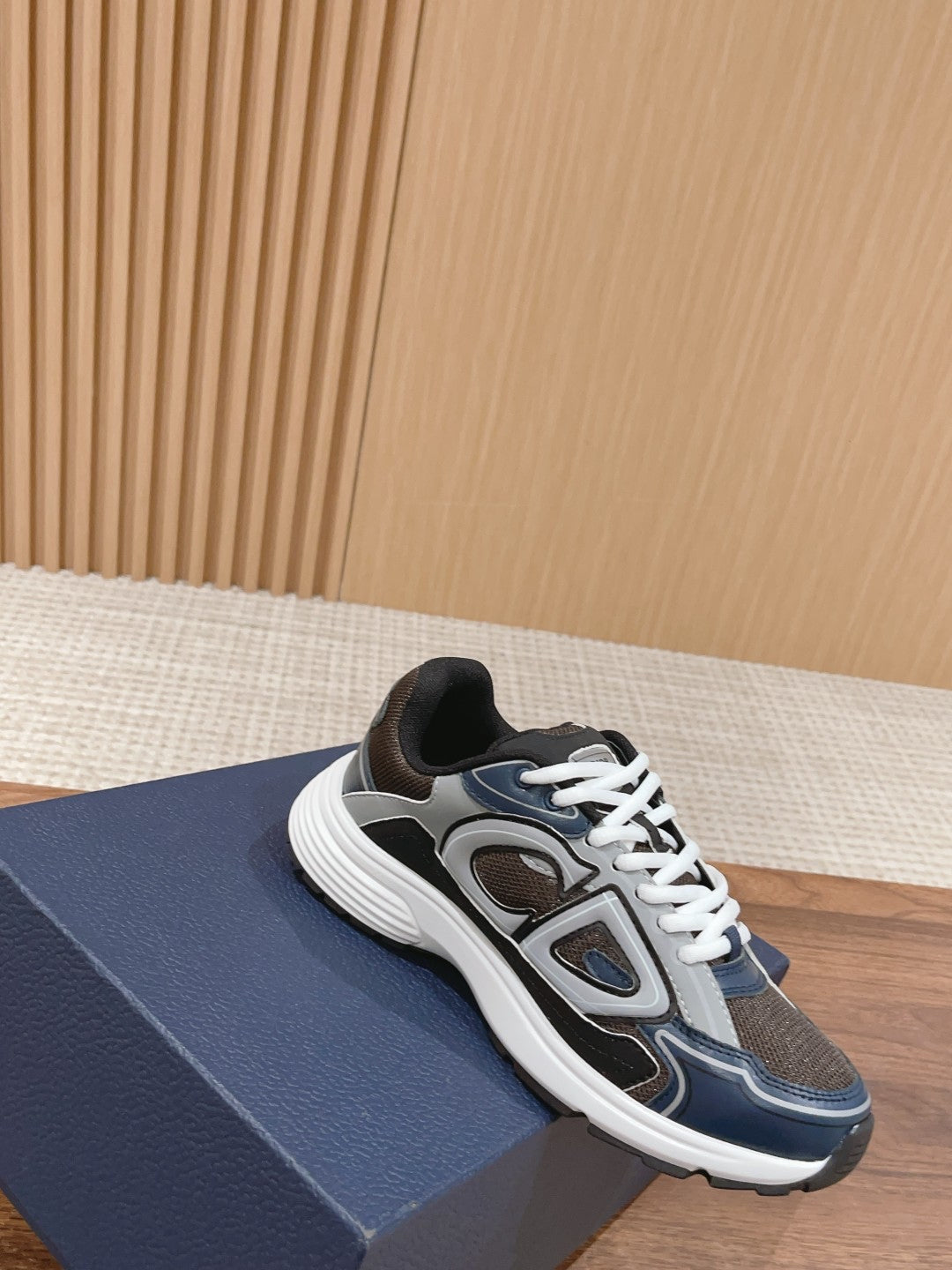 Christian Dior Men B30 Sneaker