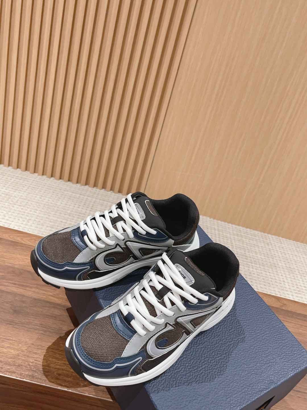Christian Dior Men B30 Sneaker