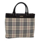 Luxury Burberry Nova Check Handbag
