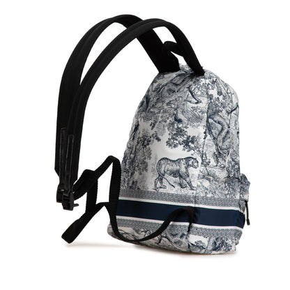 Dior Nylon Backpack Rovelle Bags