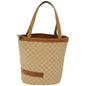 Luxury CELINE Triomphe Handbag