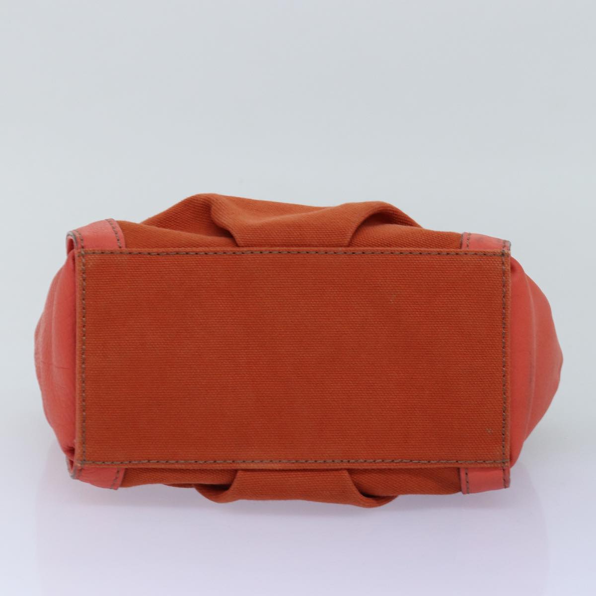 Burberry Label Brand Canvas Blue Handbag