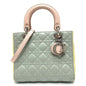 Christian Dior Blue Pink Yellow Leather Handbag Shoulder Bag Rovelle Bags