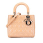 Dior Lady Dior Quilted Leather Handbag Rovelle Bags