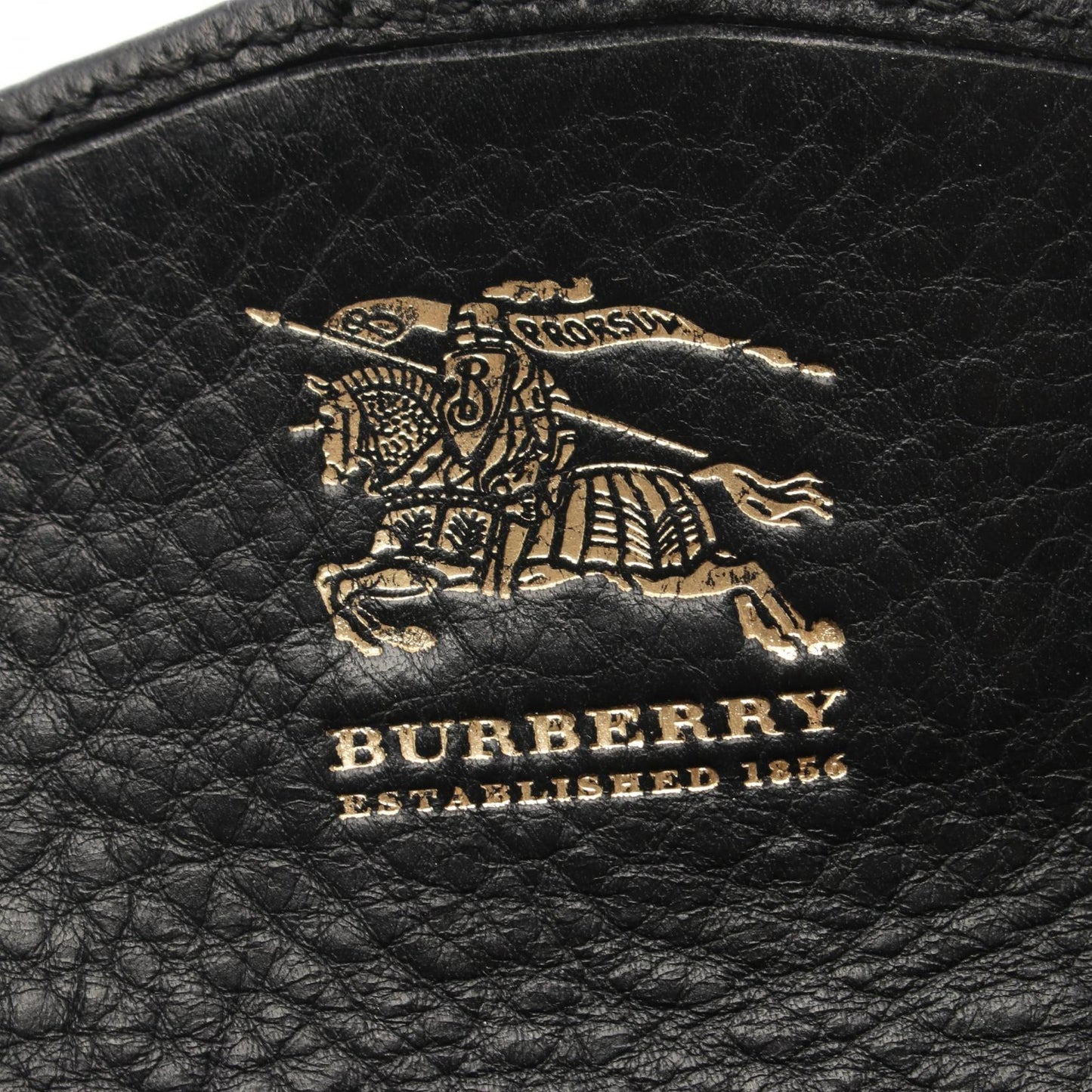 Burberry Nova Leather Shoulder Bag Style 2