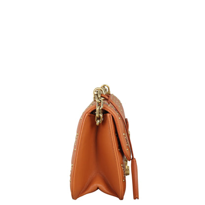 Dior Dioraddict Small Flap Bag Studded Rovelle Bags