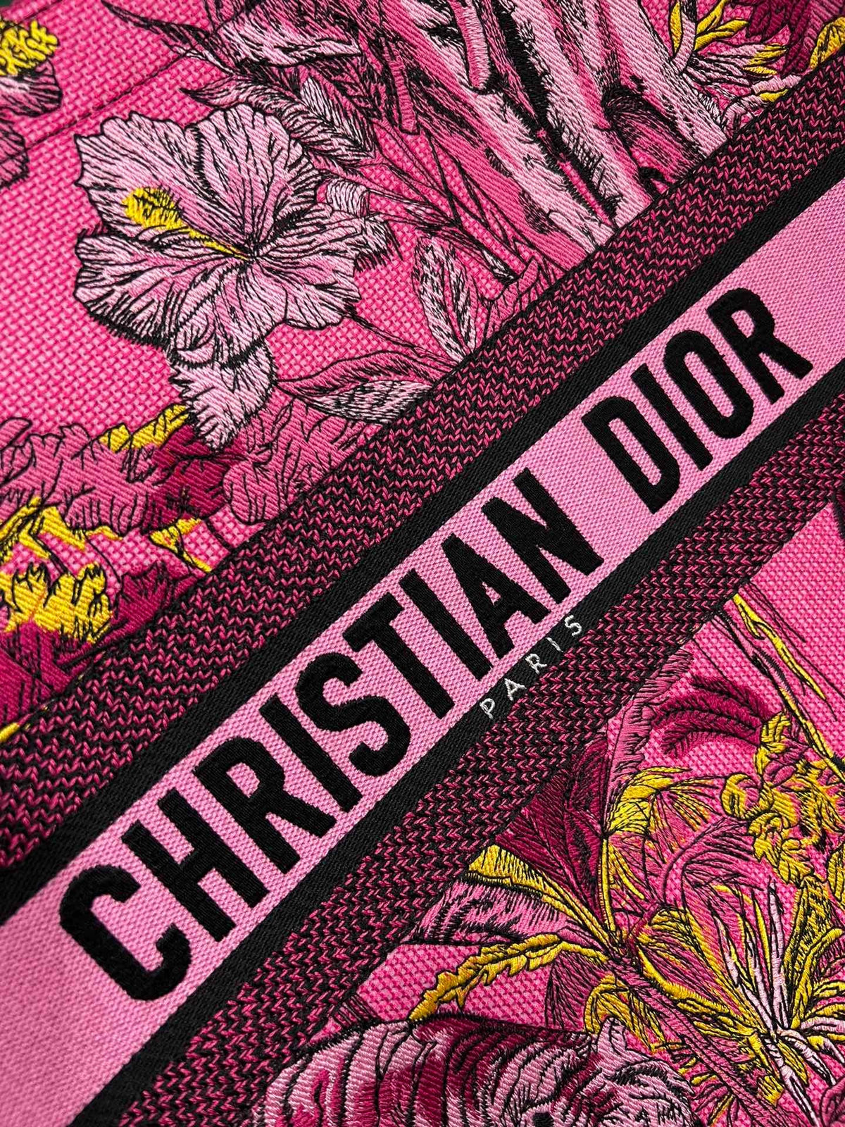 Christian Dior Book Tote Bag