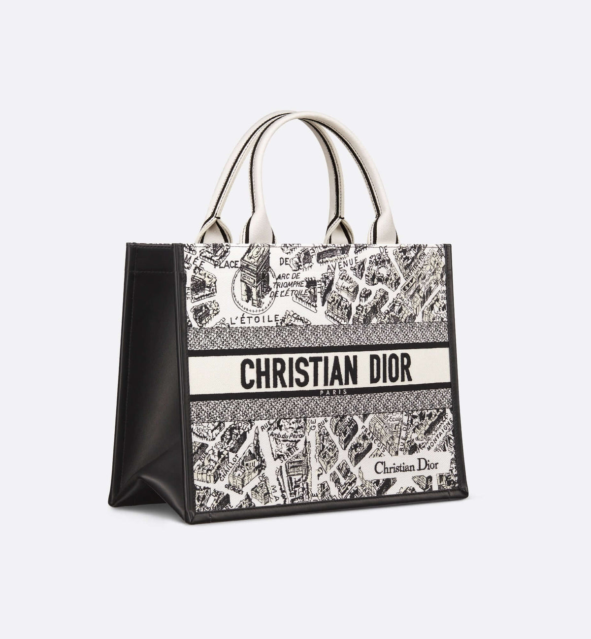 Dior Book Tote Leather Mini Tote Bag Rovelle Bags