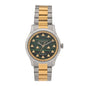 Stainless Steel Malachite 38mm G-Timeless Two Tone Bee Automatic Watch
