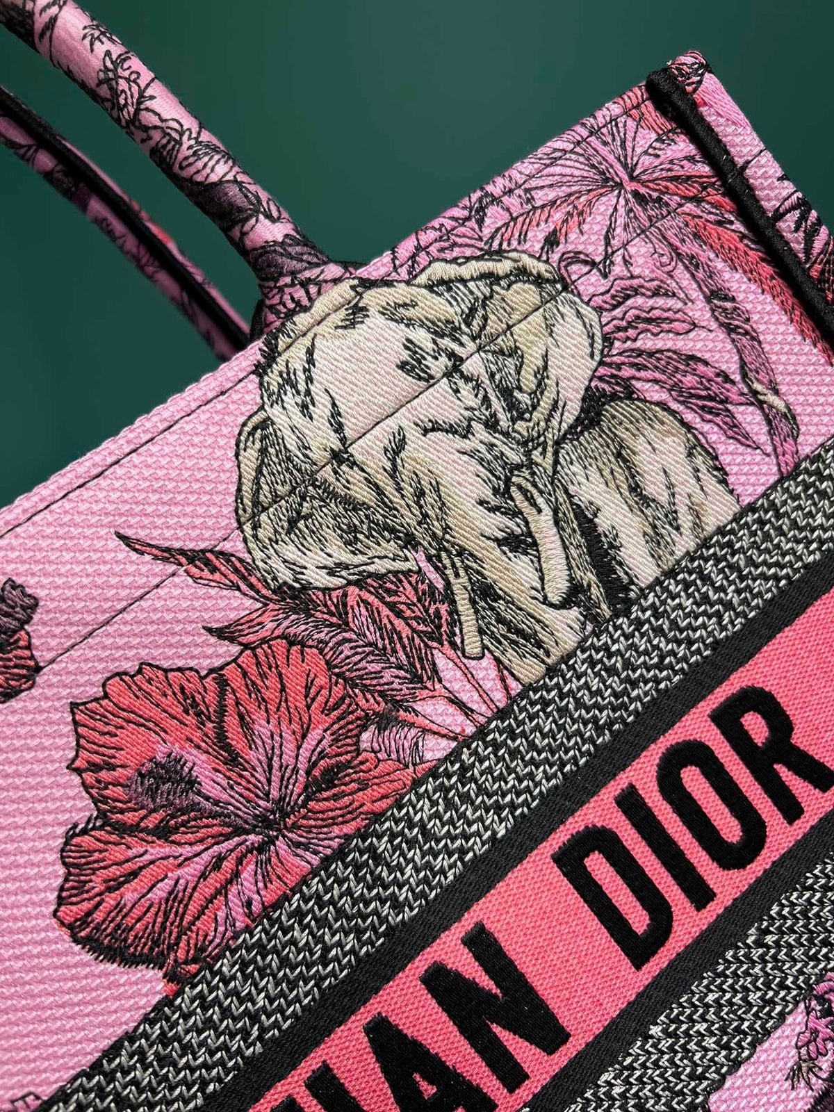 Christian Dior Book Tote Bag