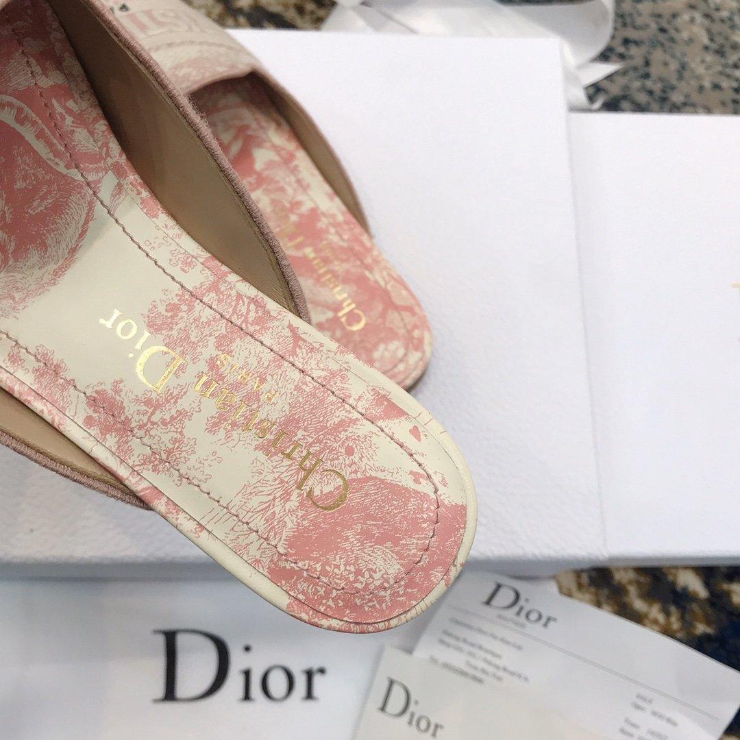 Dior Off Embroidered Cotton Flat Mules With Toile de Jouy Motif