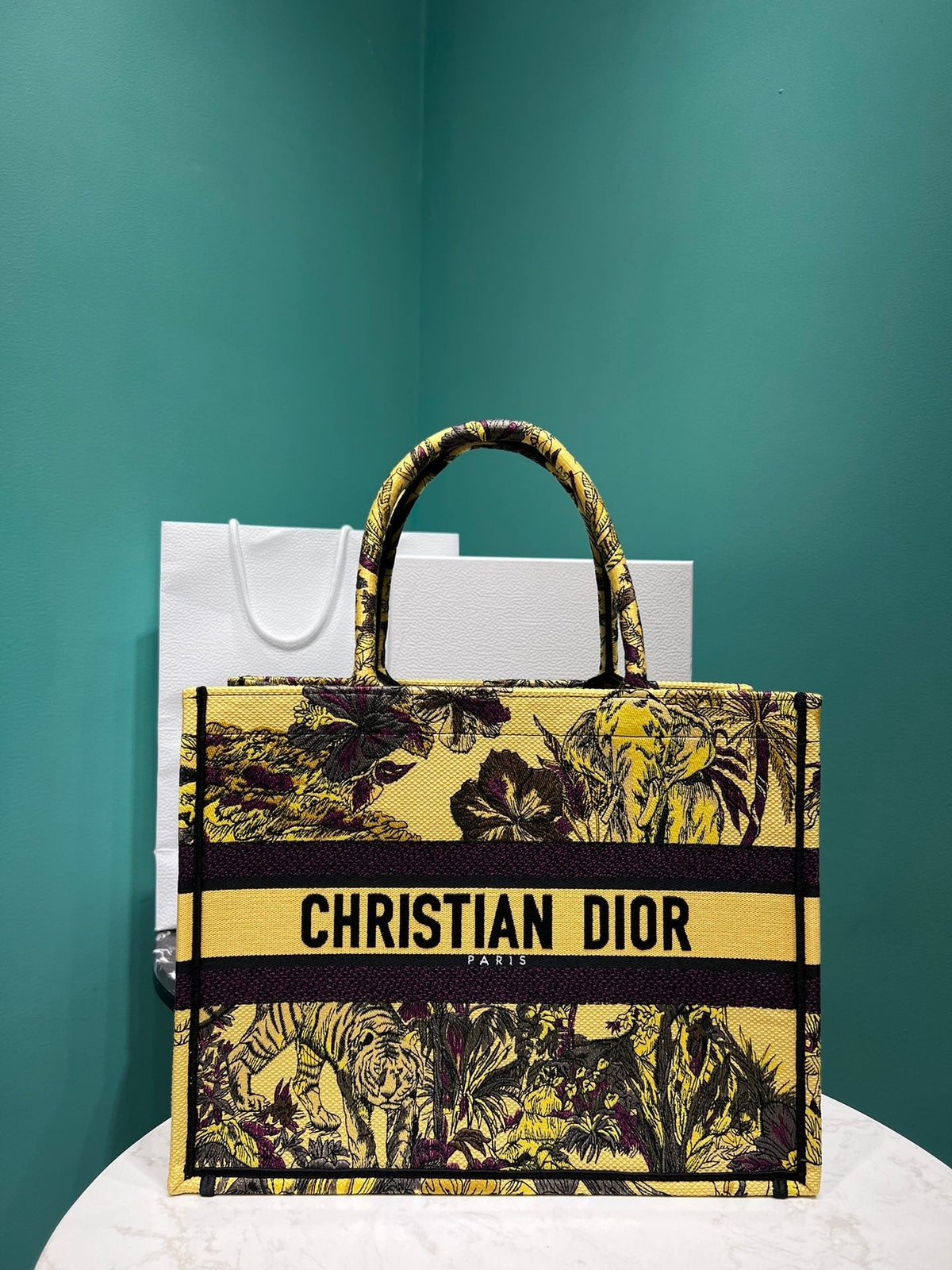 Christian Dior Book Tote Bag