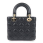 Dior Leather Shoulder Bag Rovelle Bags