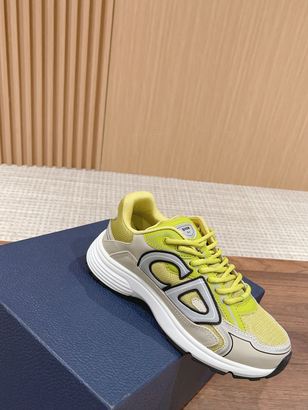 Christian Dior Men B30 Sneaker