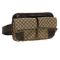 Luxury CELINE Macadam Canvas Waist Bag Beige Orange 38443