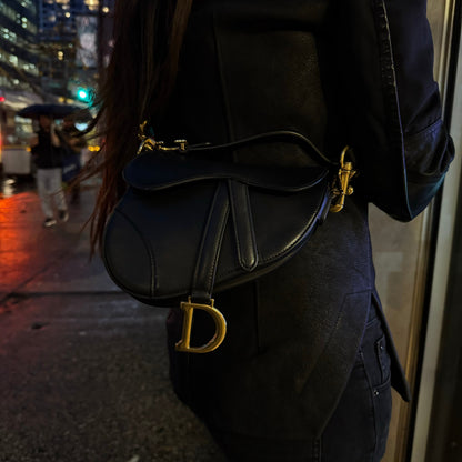 Christian Dior Goat Leather Mini Saddle Bag Tws Rovelle Bags