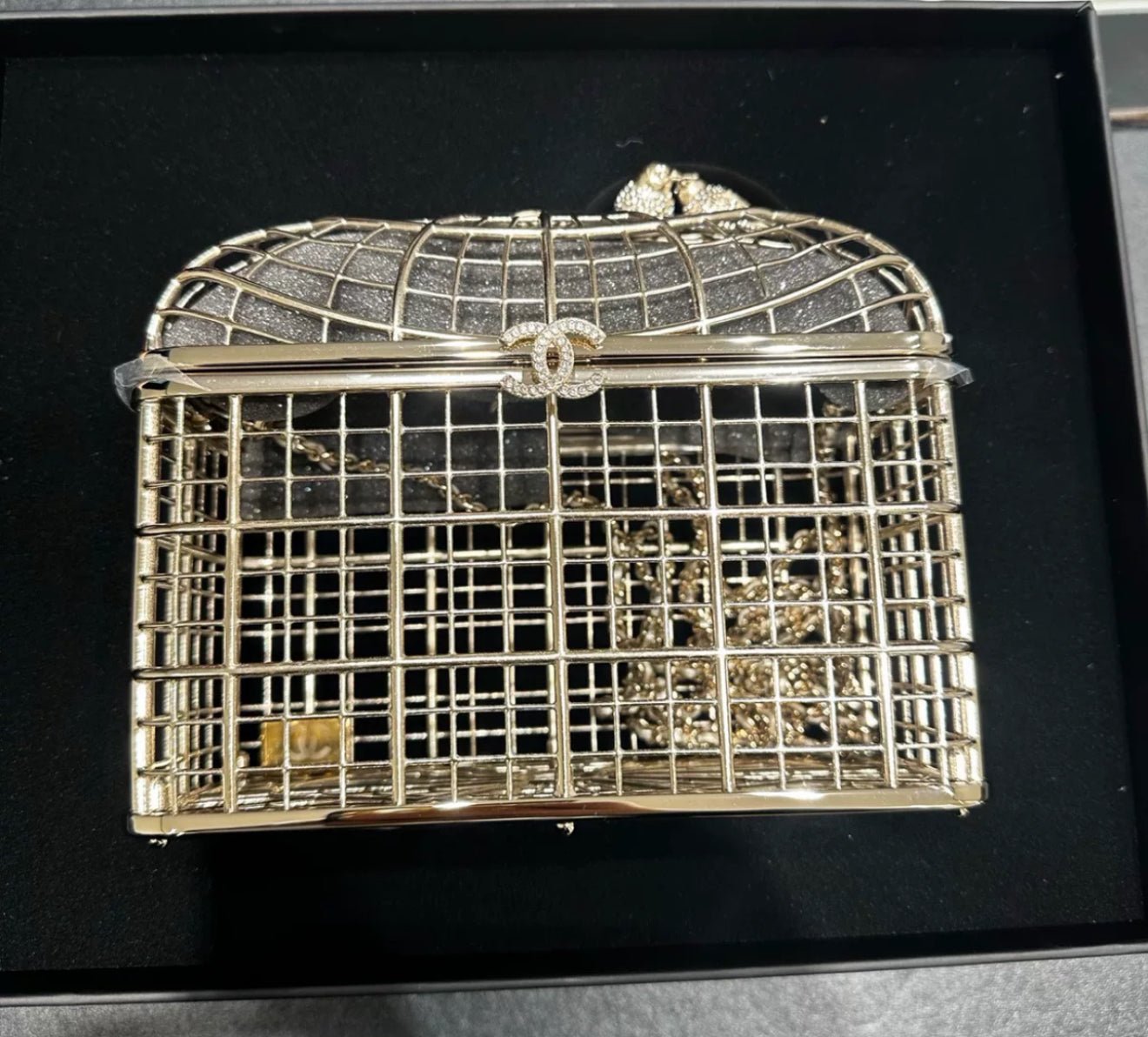 Chanel 25S Birdcage Evening Bag Rovelle Bags