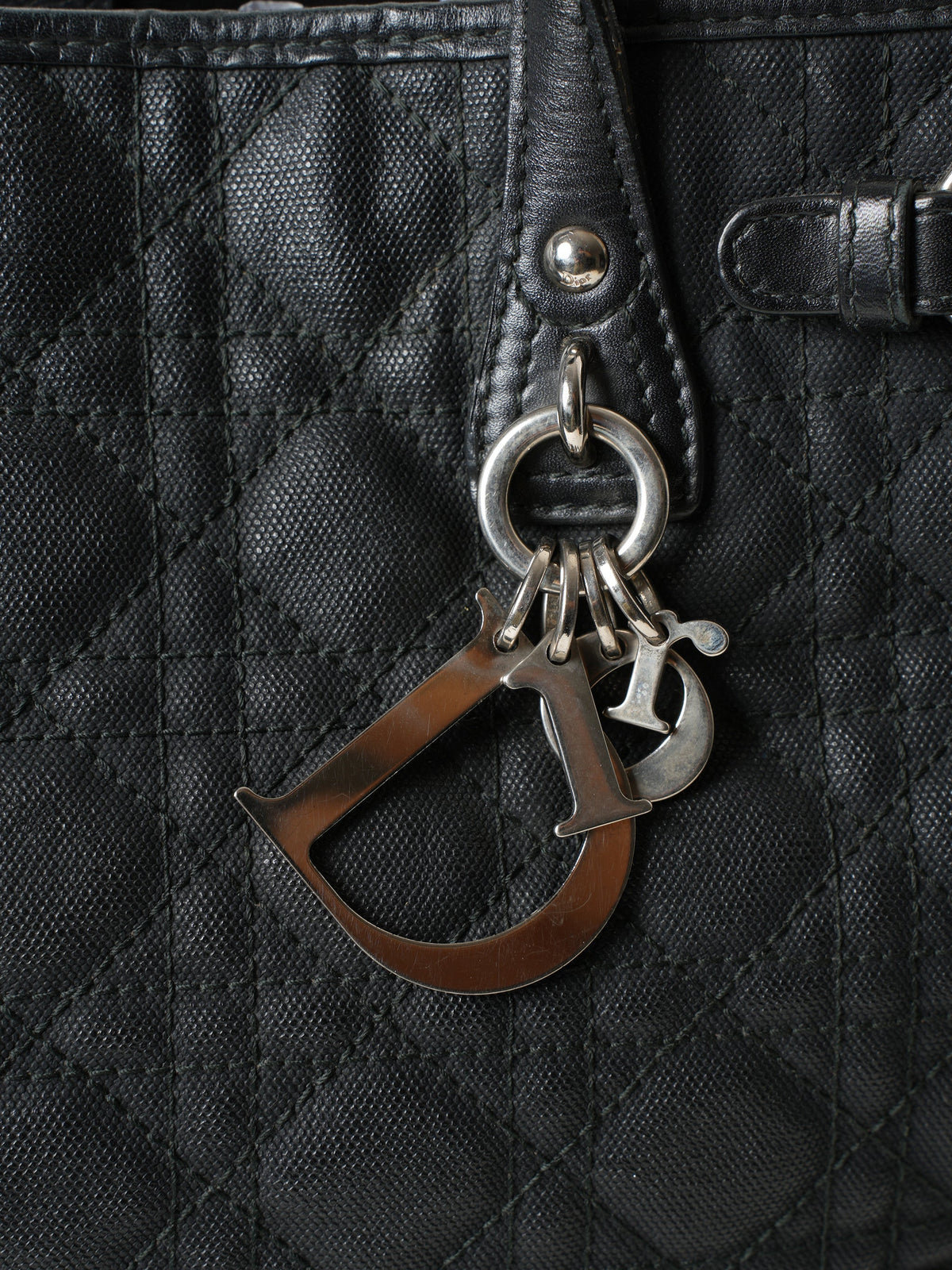 Christian Dior Panerea Tote Bag Rovelle Bags
