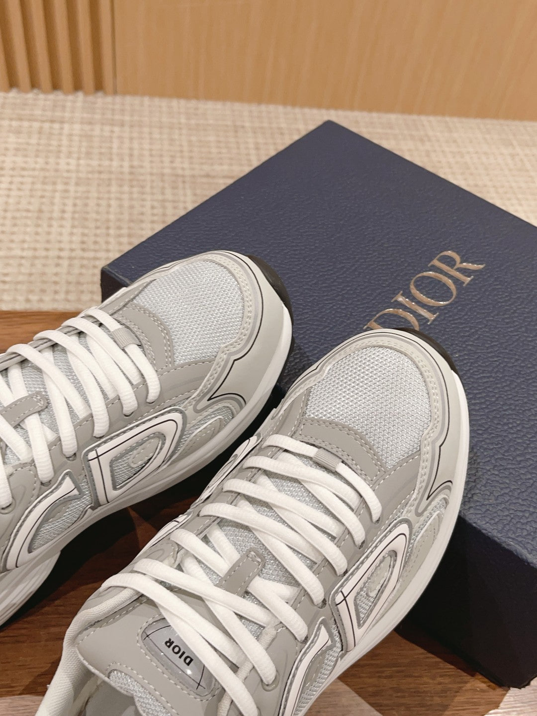 Christian Dior Men B30 Sneaker