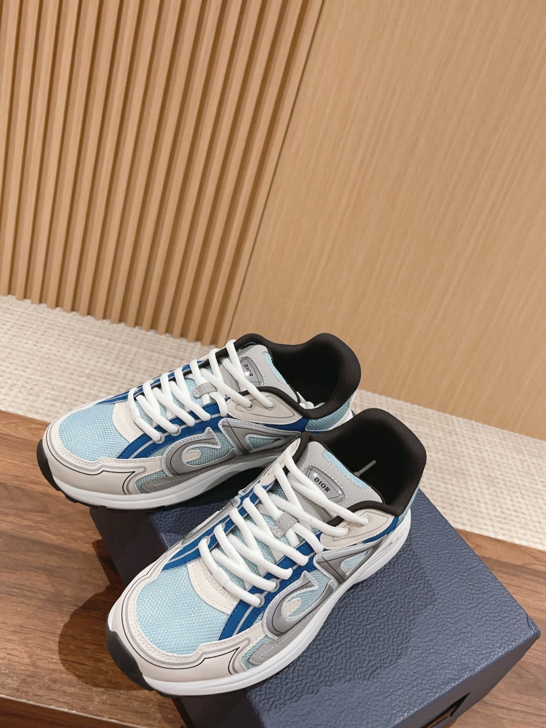 Christian Dior Men B30 Sneaker