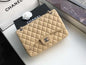 Chanel Classic Double Flap 30 Shoulder Bag Beige Silver Hardware