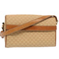 Luxury CELINE Macadam Canvas Shoulder Bag PVC Leather Beige 52441