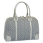 Luxury CELINE C Macadam Canvas Hand Bag Light Blue 54505
