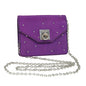 Luxury CELINE Chain Pouch Satin Purple 64134
