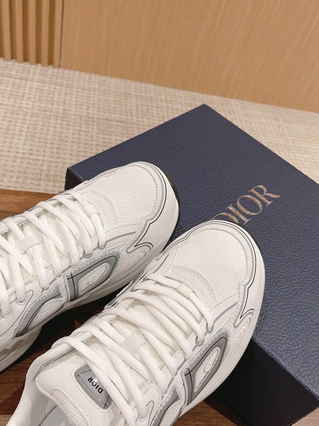 Christian Dior Men B30 Sneaker