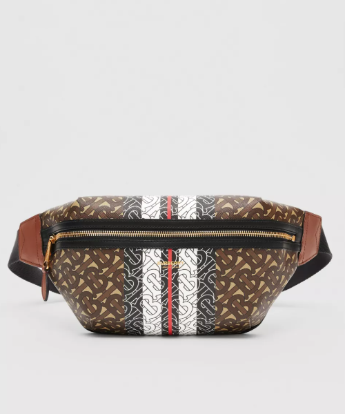 Burberry Medium Stripe Canvas Brown Handbag