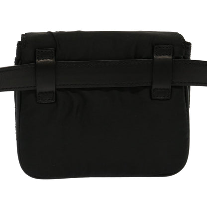 Luxury CELINE Maris Pearl Waist bag Nylon Beige 71135