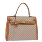 Luxury CELINE Macadam Canvas Hand Bag Beige 73341