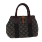 Luxury CELINE Triomphe Canvas Hand Bag Brown 75616