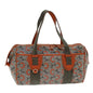 Luxury CELINE C Macadam Canvas Hand Bag Orange 77384